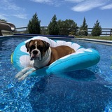 Entry image for Hooper