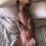 Entry image for Harry J