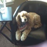 Entry image for Toby