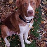 Entry image for Hooper