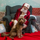 Entry image for Hudson Williams