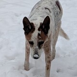 Entry image for Hazel Murphy