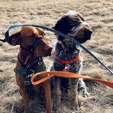 Entry image for Finn and Seamus