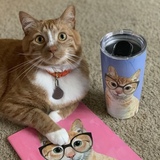 Entry image for Phil