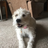 Entry image for Luna