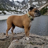 Entry image for Bella