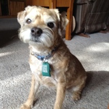 Entry image for Myles