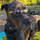 Entry image for Cash