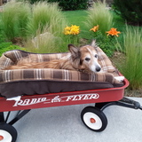 Entry image for Kiley Hackett