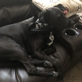 Entry image for Libby