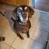 Entry image for Nani