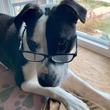 Entry image for Luna Smooches