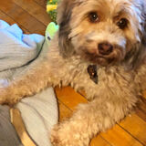 Entry image for Maggie