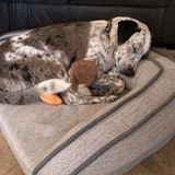 Entry image for Bree