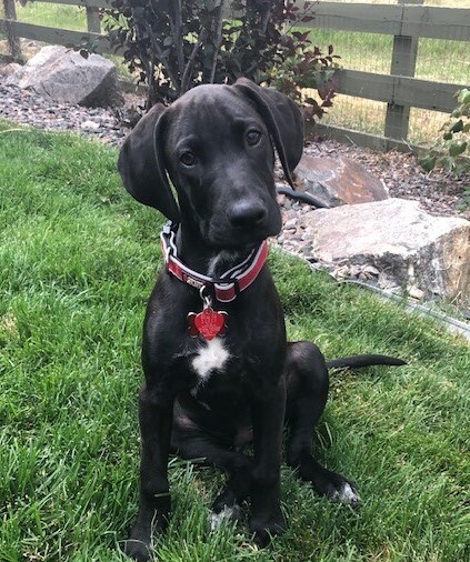 Entry image for Barry. Clicking this image will show a larger photo