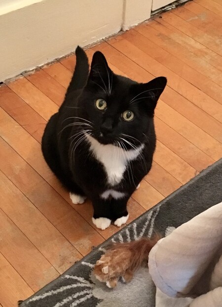 Entry image for Jack. Clicking this image will show a larger photo