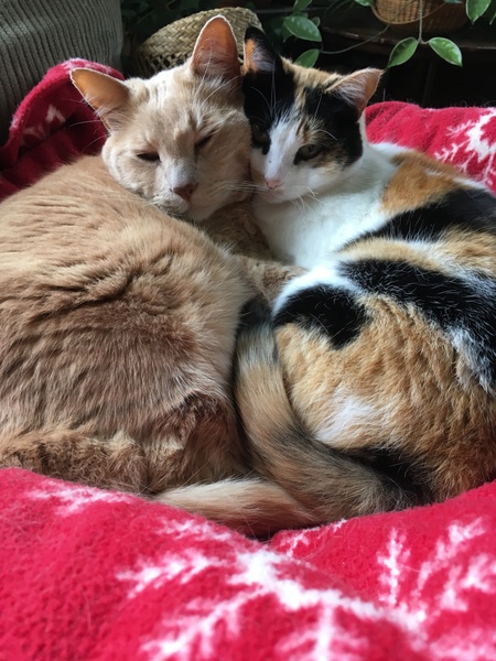 Entry image for Larry & Lucille. Clicking this image will show a larger photo