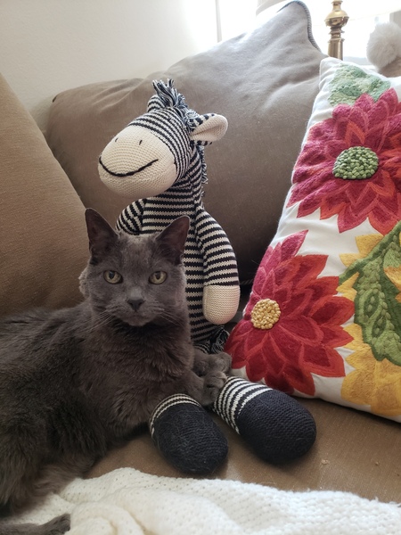 Entry image for Zoe. Clicking this image will show a larger photo