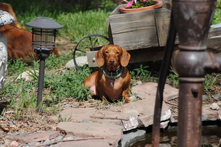 Entry image for Remy Martin. Clicking this image will show a larger photo