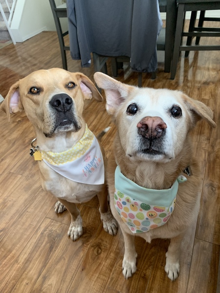 Entry image for Walt and Rascal. Clicking this image will show a larger photo