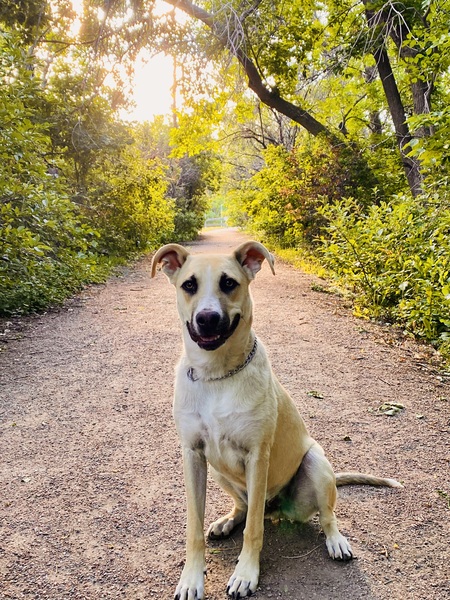 Entry image for Pete. Clicking this image will show a larger photo