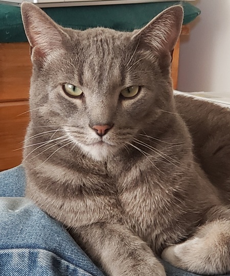 Entry image for Bert. Clicking this image will show a larger photo