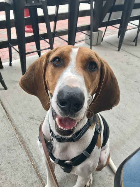 Entry image for Dr Rick Marshall. Clicking this image will show a larger photo