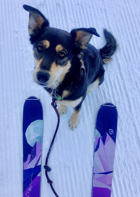 Entry image for Lucy. Clicking this image will show a larger photo