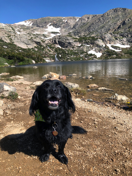 Entry image for Osa. Clicking this image will show a larger photo