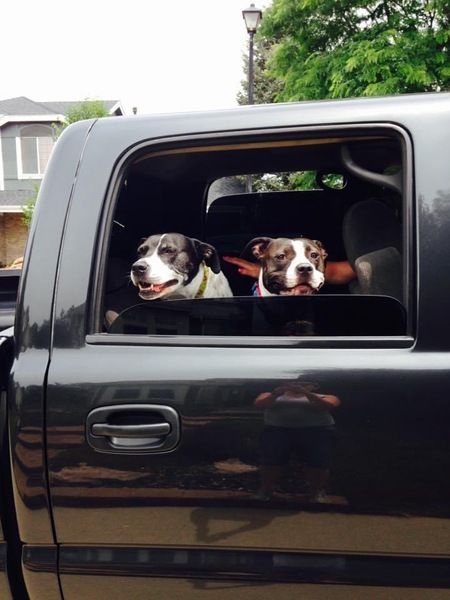 Entry image for Flower and Ellie. Clicking this image will show a larger photo