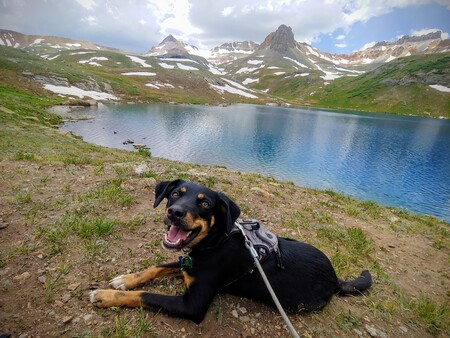 Entry image for Jazzy. Clicking this image will show a larger photo