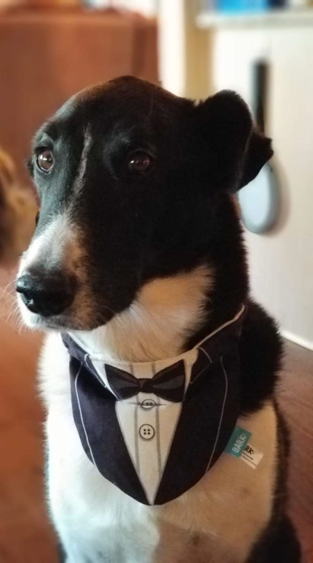 Entry image for Guinness. Clicking this image will show a larger photo