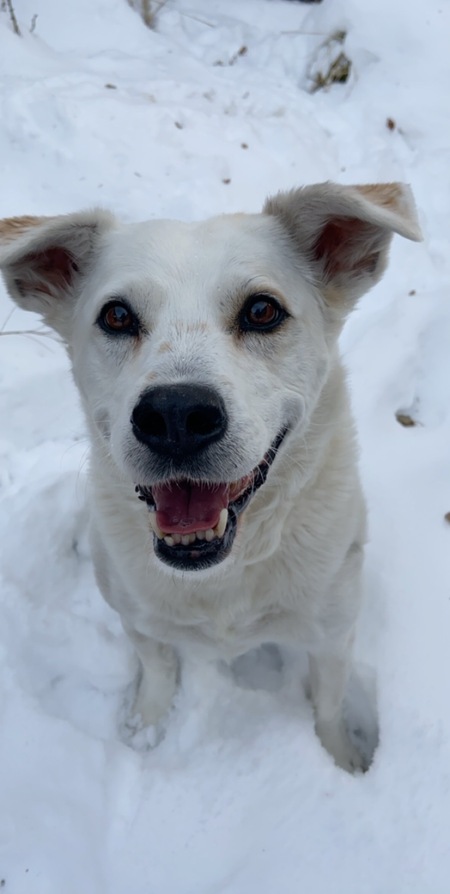 Entry image for Chili Bean. Clicking this image will show a larger photo