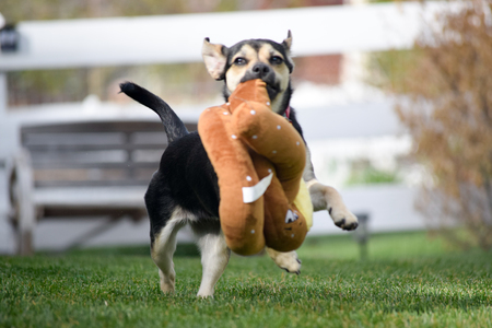 Entry image for Bubbles. Clicking this image will show a larger photo