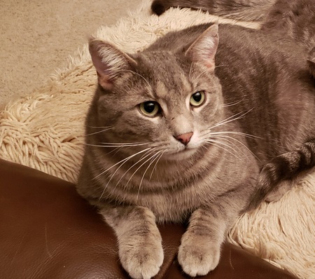 Entry image for Ernie. Clicking this image will show a larger photo