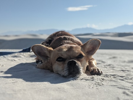 Entry image for Richard. Clicking this image will show a larger photo