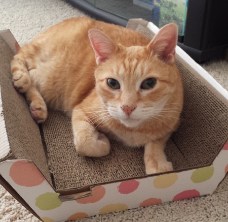 Entry image for Zack. Clicking this image will show a larger photo