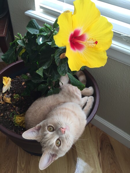 Entry image for Ghost. Clicking this image will show a larger photo