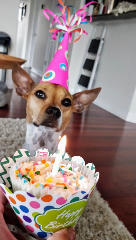 Entry image for Nahla. Clicking this image will show a larger photo