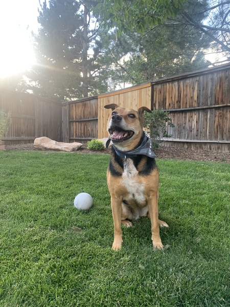 Entry image for Chyna. Clicking this image will show a larger photo