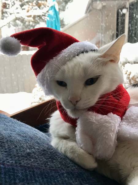 Entry image for Walter White. Clicking this image will show a larger photo