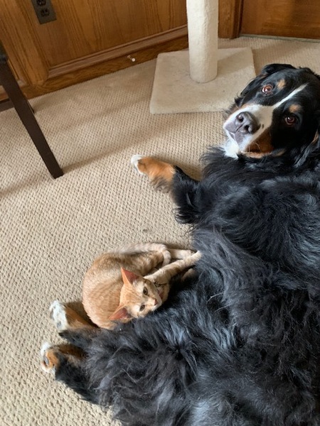 Entry image for Hermosa & Lacy. Clicking this image will show a larger photo