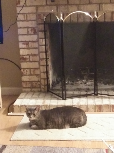 Entry image for Libby. Clicking this image will show a larger photo