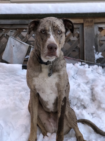 Entry image for George. Clicking this image will show a larger photo