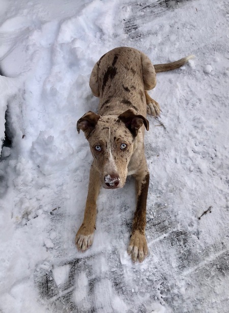 Entry image for George (yes again - this was from last year). Clicking this image will show a larger photo