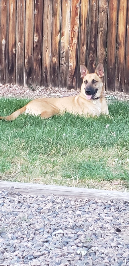 Entry image for Scott. Clicking this image will show a larger photo