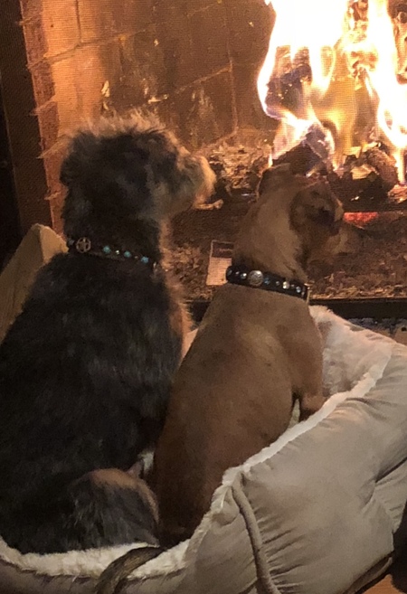 Entry image for Moose and Blix . Clicking this image will show a larger photo