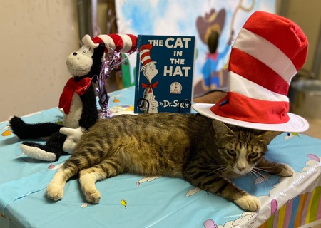 Entry image for Melvin. Clicking this image will show a larger photo