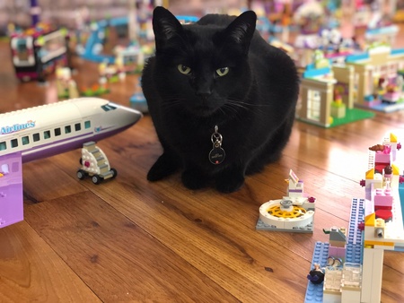 Entry image for Jack. Clicking this image will show a larger photo