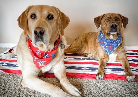 Entry image for Riggs & Odell. Clicking this image will show a larger photo